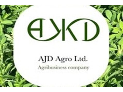 „АЖД Агро“ – Летница търси счетоводители